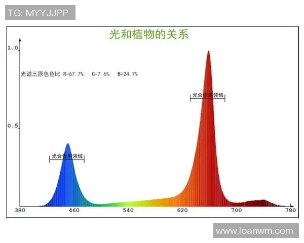 齐麟三分投射技术解析及其在比赛中的关键作用与影响