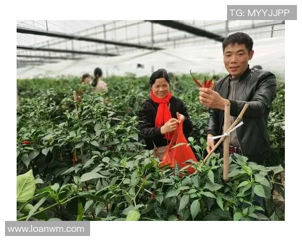 亚特兰大市新政助力经济复苏：全面刺激消费市场